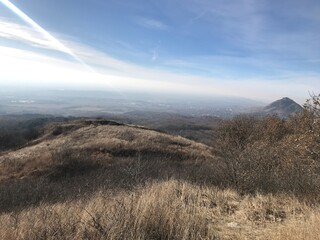 tree in the mountains