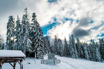 Path to mountain Zakhar Berkut, Carpathian mountains, Ukraine. Horizontal outdoors shot