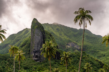 tropical volano island in raiatea french polynesia moorea, bora bora, tahiti - obrazy, fototapety, plakaty
