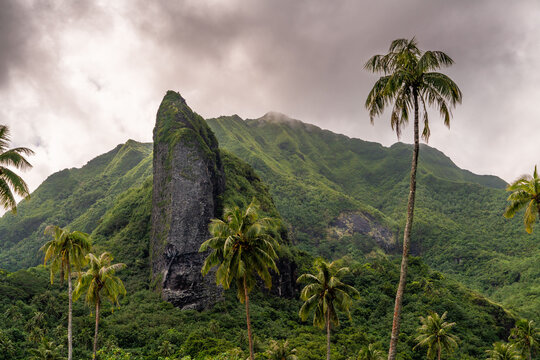 tropical volano island in raiatea french polynesia moorea, bora bora, tahiti