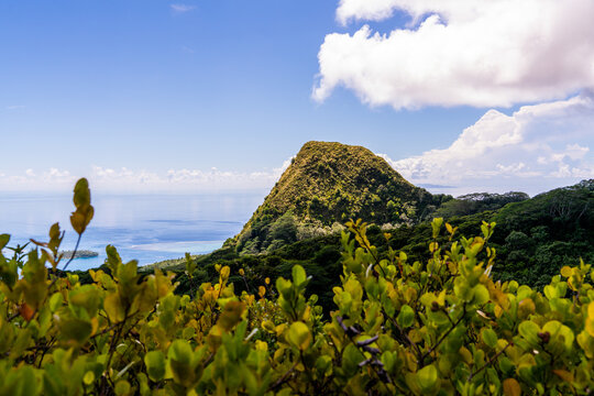 Landscape With Flowers And Clouds In Tropical Island Raiatea French Polynesia 