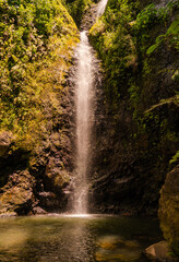 waterfall in the tropical forest in french polynesian island raiatea bora bora moorea © Blogtrip