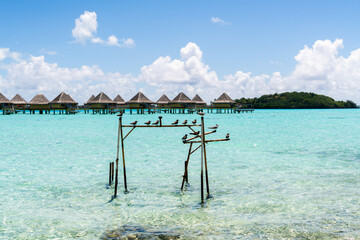 tropical paradise island with luxury bungalow in bora bora lagoon resort