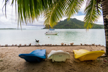 Obraz na płótnie Canvas deckchair beach with coconut palm in tropical caribbean island in maupiti french polynesia 