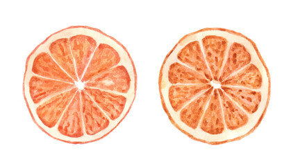 Two watercolor dried oranges isolated on white background.