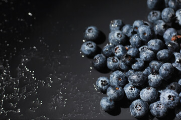 Water drops on ripe sweet blueberry. Fresh blueberries background with copy space for your text. Vegan and vegetarian concept. Macro texture of blueberry berries.