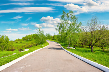 Road in the park