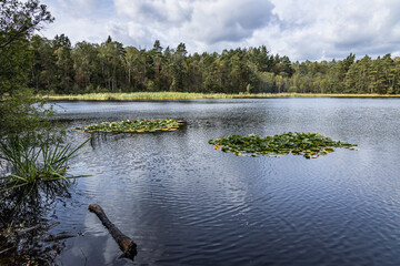 Stoborowe Lake near Wejherowo town, Kashubia region, part of Pomerania Province of Poland