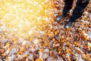 Man with hiking shoes stands in the autumn leaves