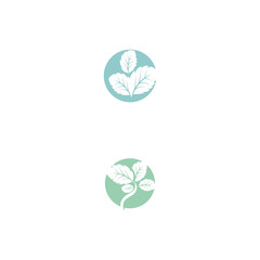 Leaf Mint Logo Template vector symbol