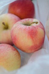  apple halves isolated on background