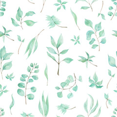 Seamless pattern with leaves of eucalyptus. Hand drawn leaves of tropical plants. Watercolor eucalyptus