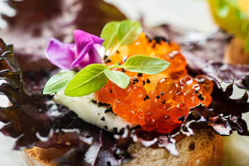 gourmet canape with cheese and herbs