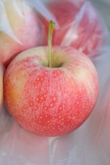  apple halves isolated on background