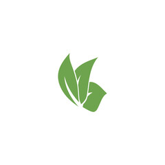 Leaf  ecology Logo Template vector