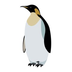Naklejka premium Emperor penguin standing