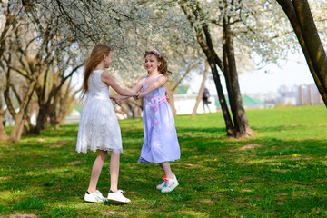 Naklejka na ściany i meble Young girls with blue eyes in white dresses in garden with apple trees blosoming