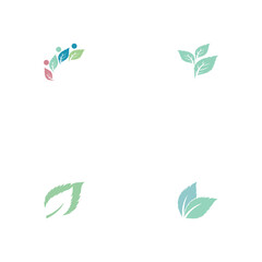 Obraz premium Set Leaf Mint Logo Template vector symbol