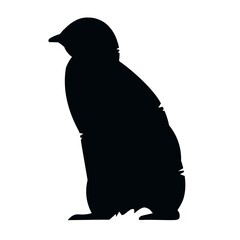 Emperor baby penguin going silhouette