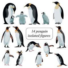 Penguins penguins of various species figures set