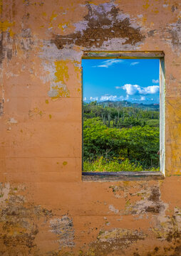 painted wall with window