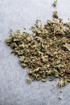 Marijuana leaf