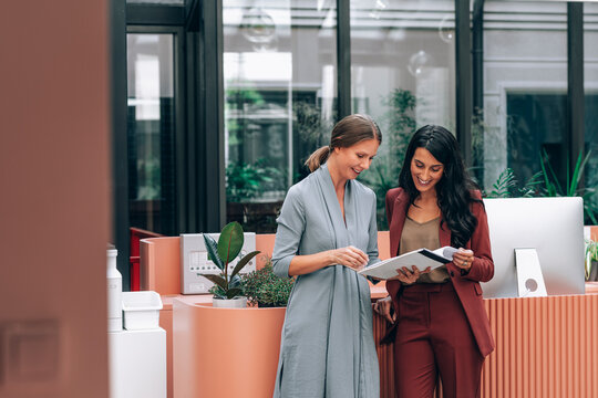 Two Elegant Businesswomen Working Together