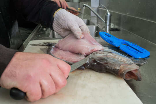 Fishmonger descaling fresh Atlantic salmon