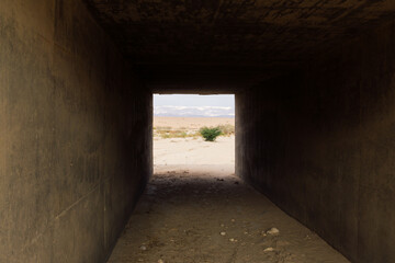 Jordan desert