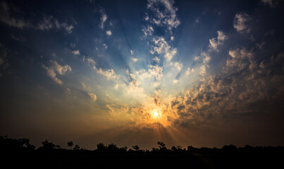 The sky has a line of trees in front of the sun through the clouds.
