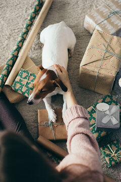 preparing Christmas presents with dog