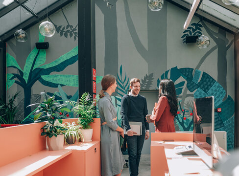 Co-Workers Chatting at Company's Reception
