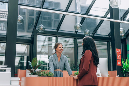 Two Elegant Women Co-Working