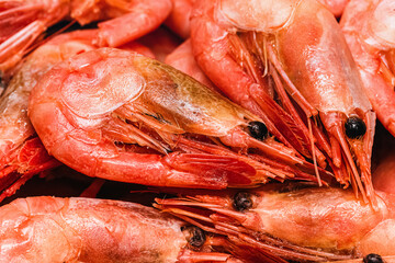 Background of shrimp close-up.