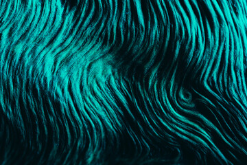 Old wood texture with teal light