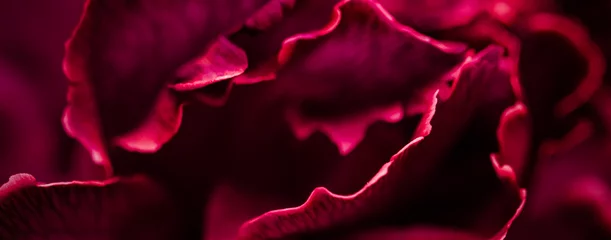 Flora, Branding und Liebeskonzept - Rote Nelkenblume in Blüte, abstrakter floraler Blütenkunsthintergrund, Blumen in der Frühlingsnatur für Parfümduft, Hochzeit, Luxus-Beauty-Marken-Urlaubsdesign © Anna Studio