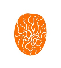 Dried apricots logo. Isolated dried apricots on white background