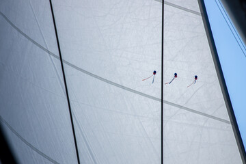 Sailing