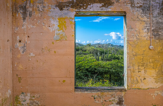 painted wall with window