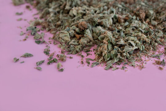 Cannabis sugar leaves and bud ready to be de-carbonised for edible cannabis treats