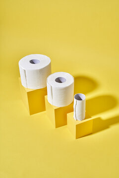 Toilet Tissue The Great Equalizer