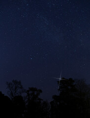 Bright star peeking throught the trees