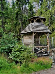 old wooden house in forest