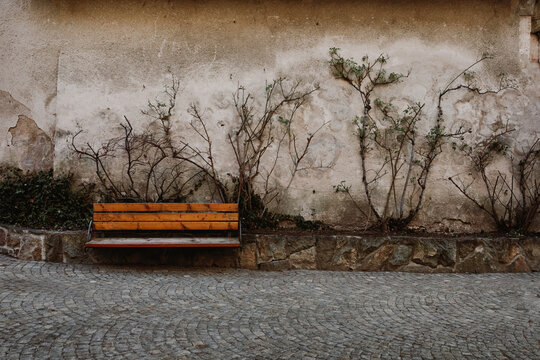 Plant climbing on cracked wall behind wooden frozen bench in alpine village