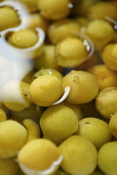 Fresh plums in the water, The process of making Japanese plum wine.
