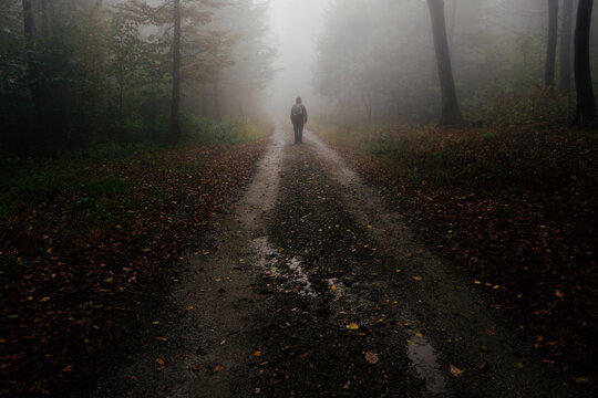 Man lost in the fog in mysterious forest