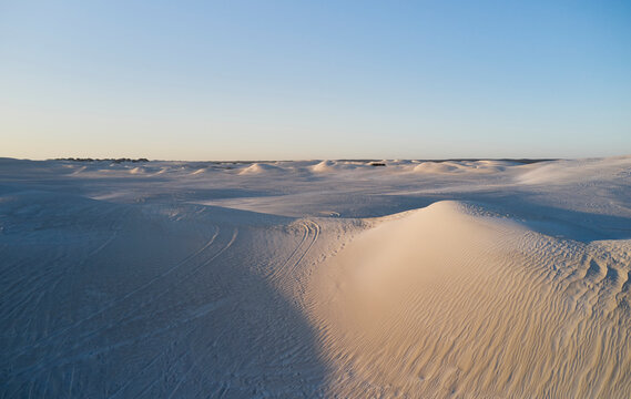 Sand Dune Landscape In Late Afternoon Light