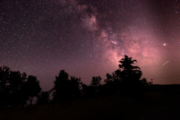 Milky way and stars in the night with tree silhouettes 
