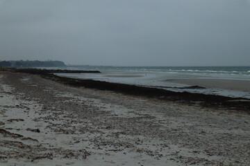 cold morning at the beach