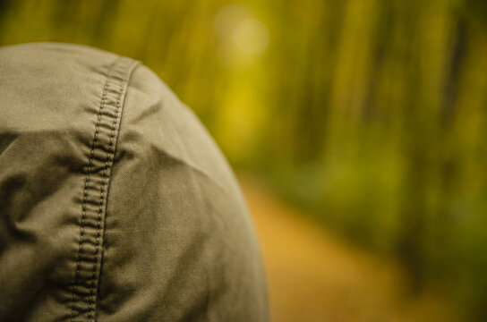 a hooded green figure standing in an autumn forest - Powered by Adobe